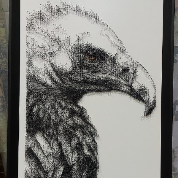 Vulture 1