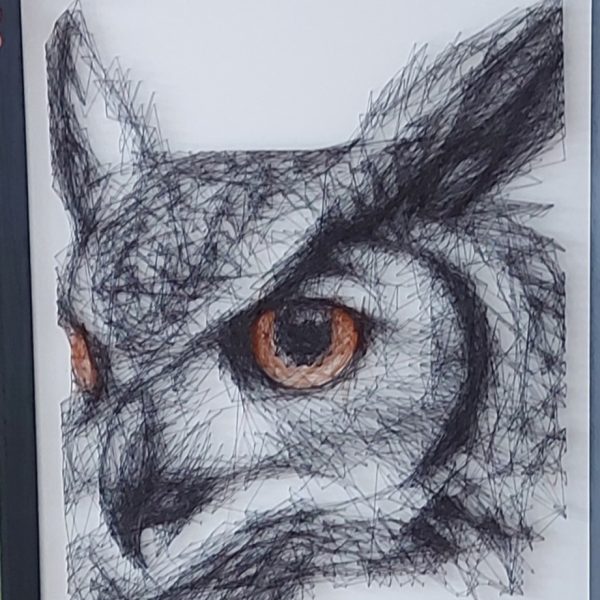 Owl 4