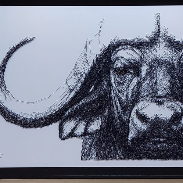 Buffalo 2