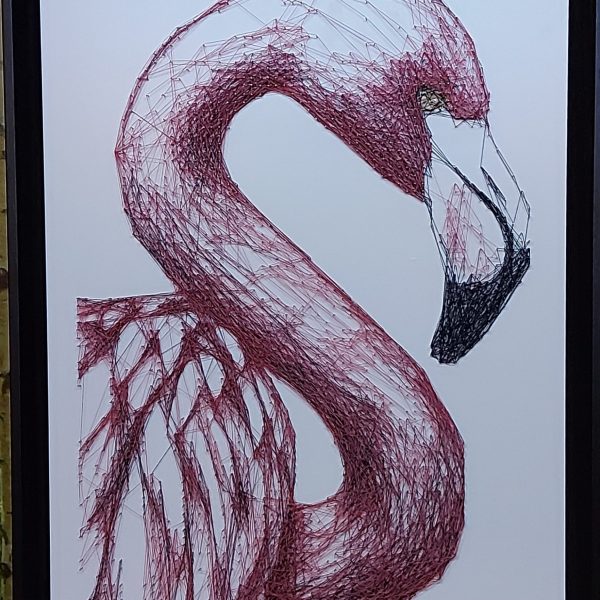 Flamingo 1