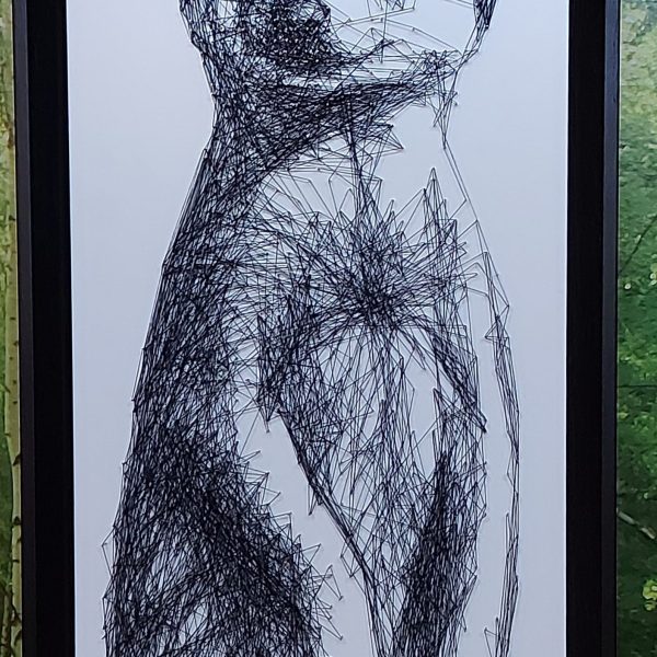 Meerkat 2