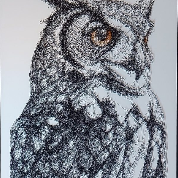 Owl 6