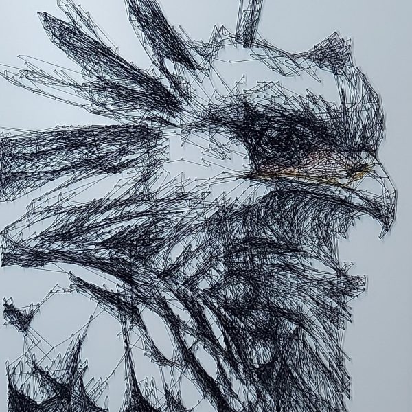 Secretary Bird1