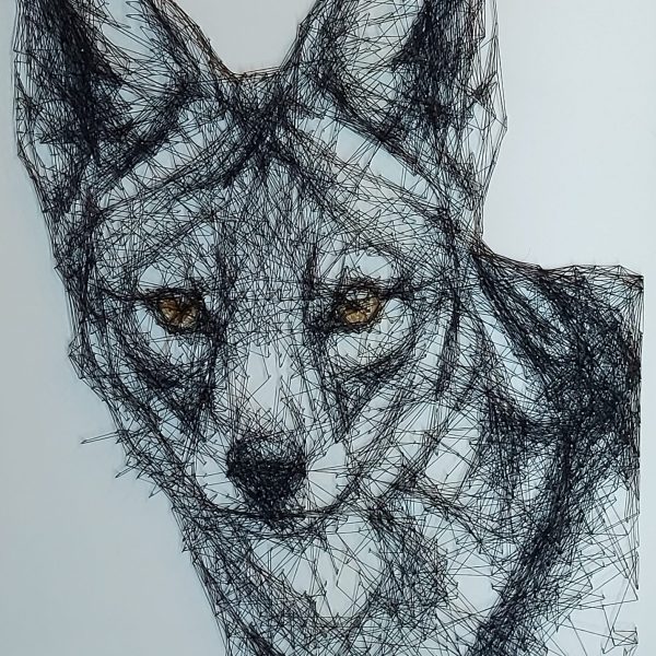 Jackal 1