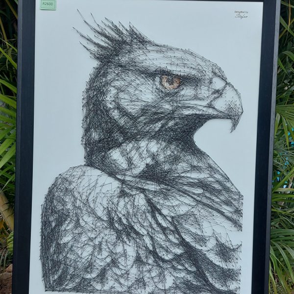 Martial Eagle1