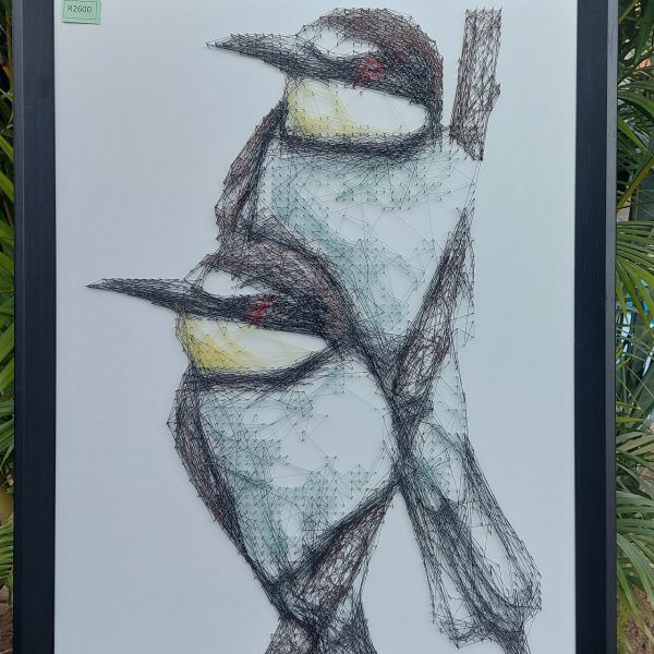 Bee Eater1