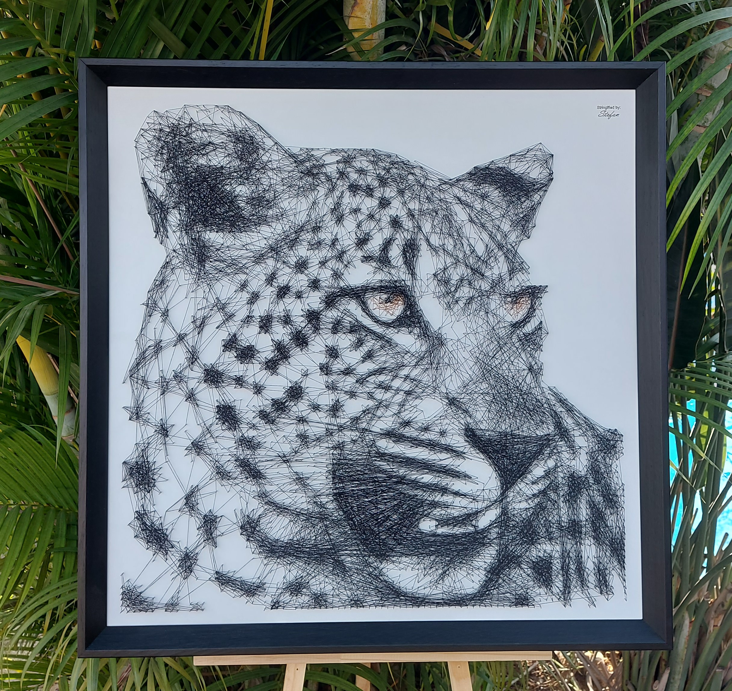 Leopard 17