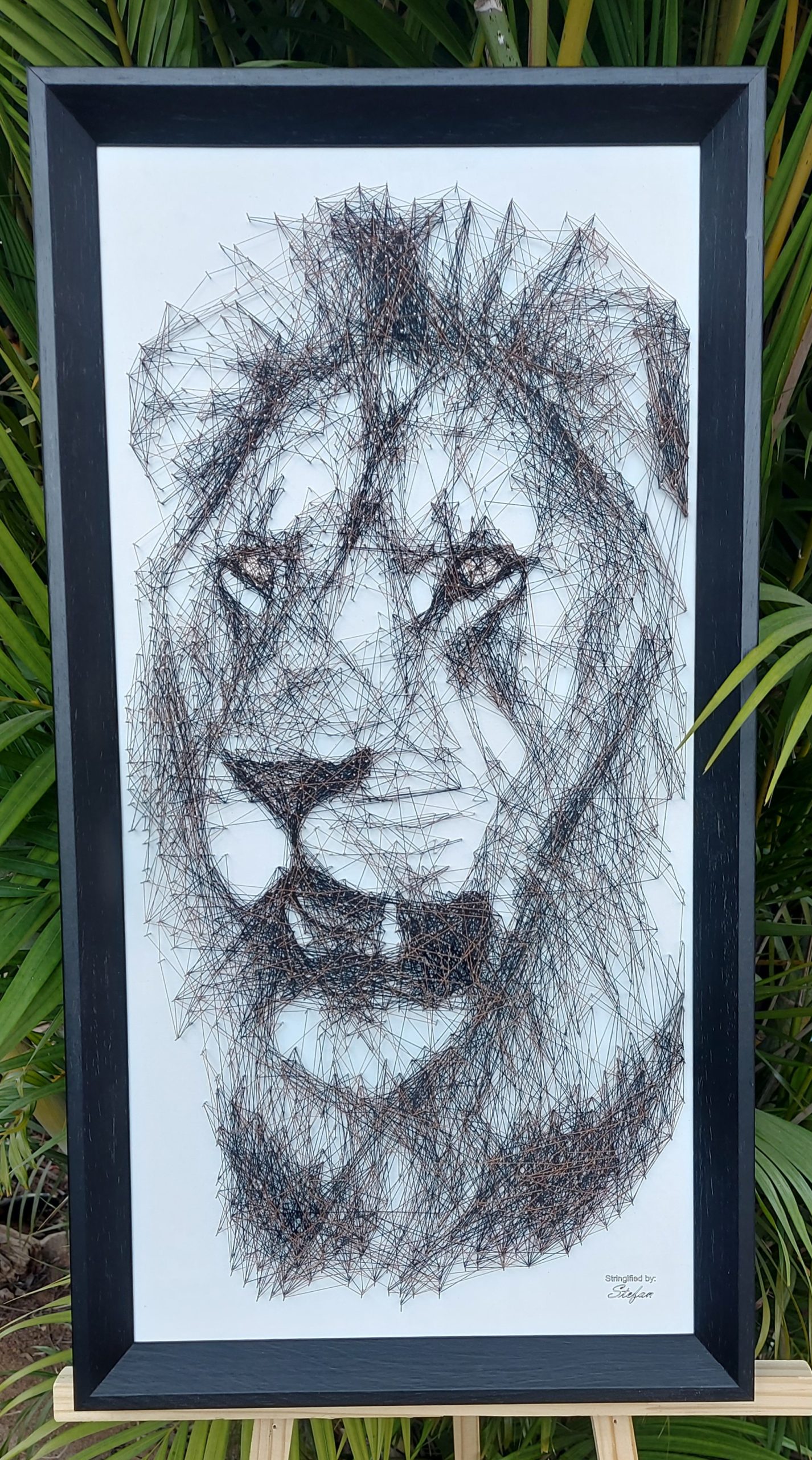 Lion 16