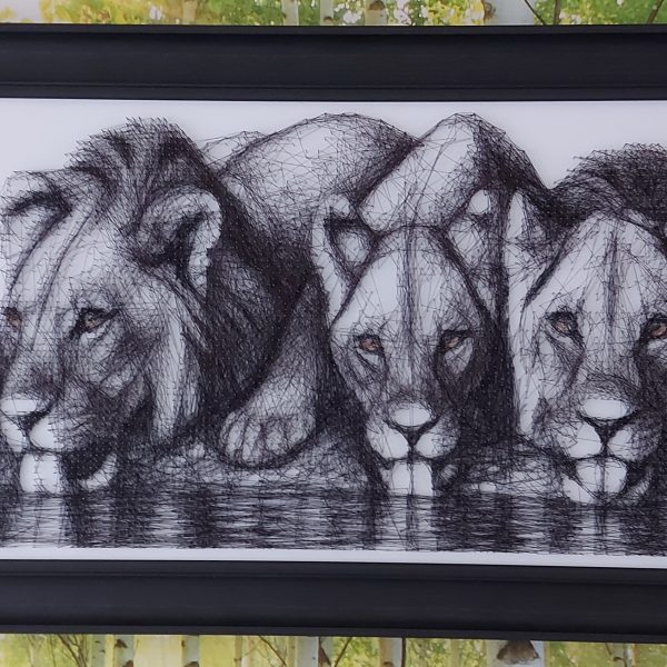 Lion 25