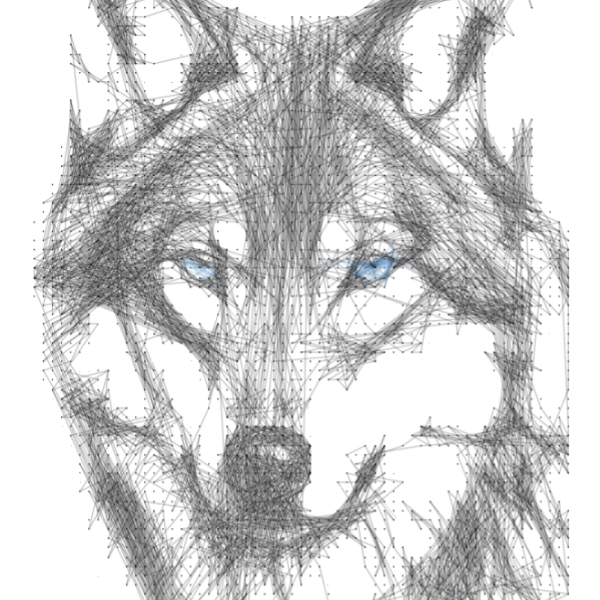 Wolf 1