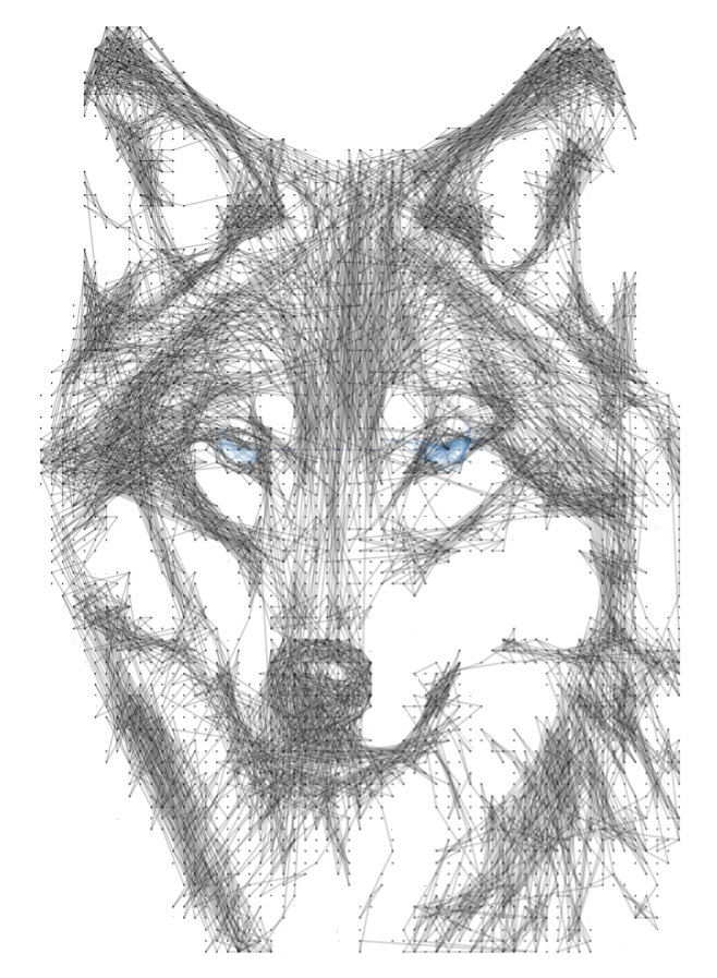 Wolf 1