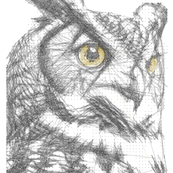 Owl 3