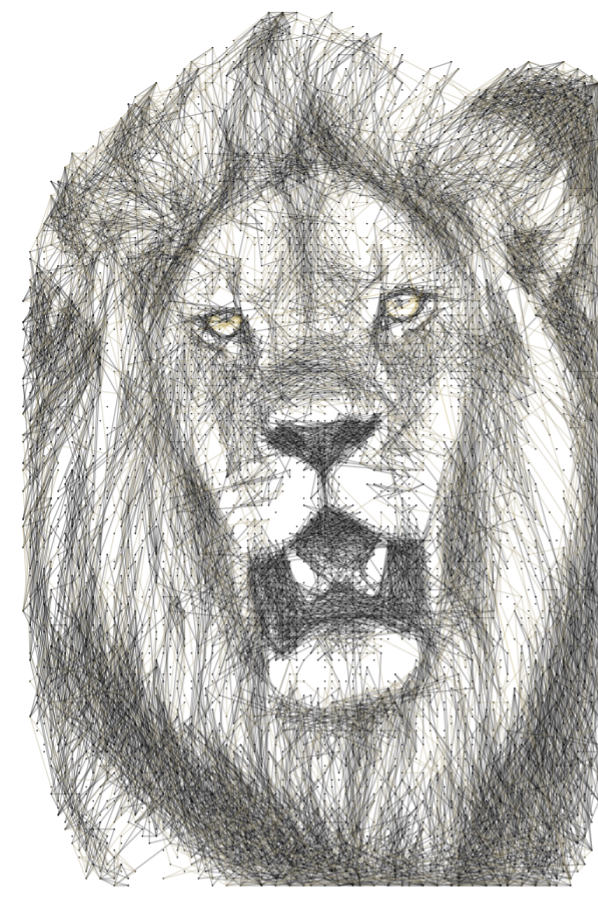 Lion 21