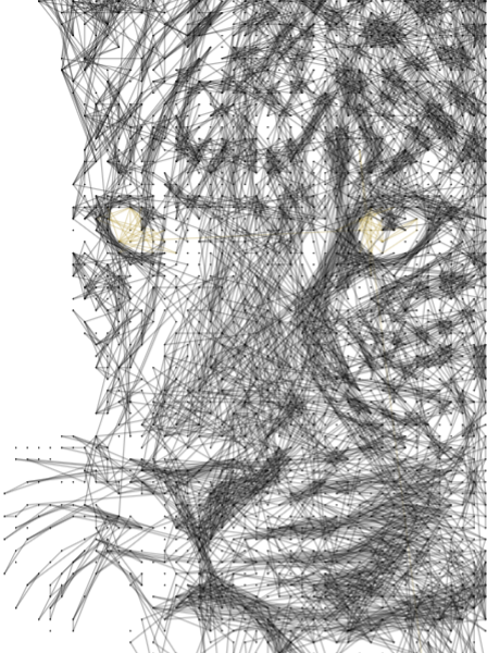 Leopard 24