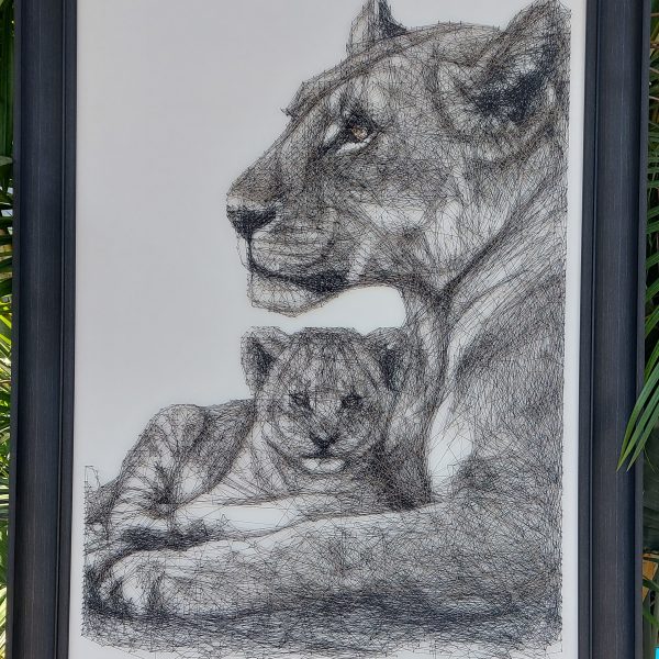 Lion 34