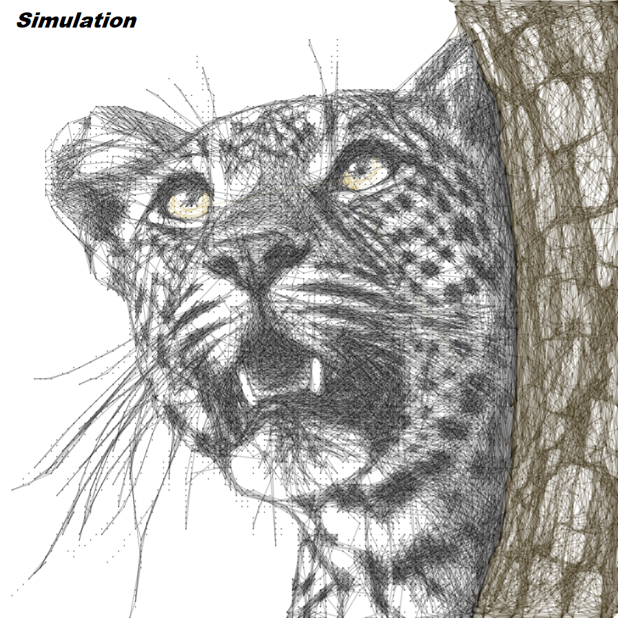 Leopard 34 - Image 2