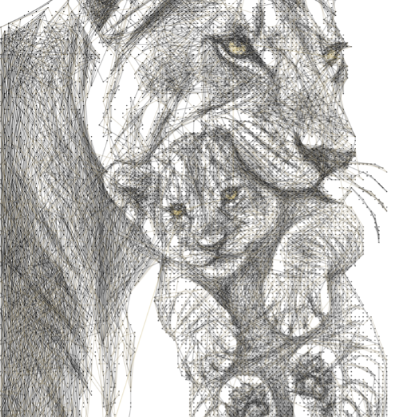Lion 37